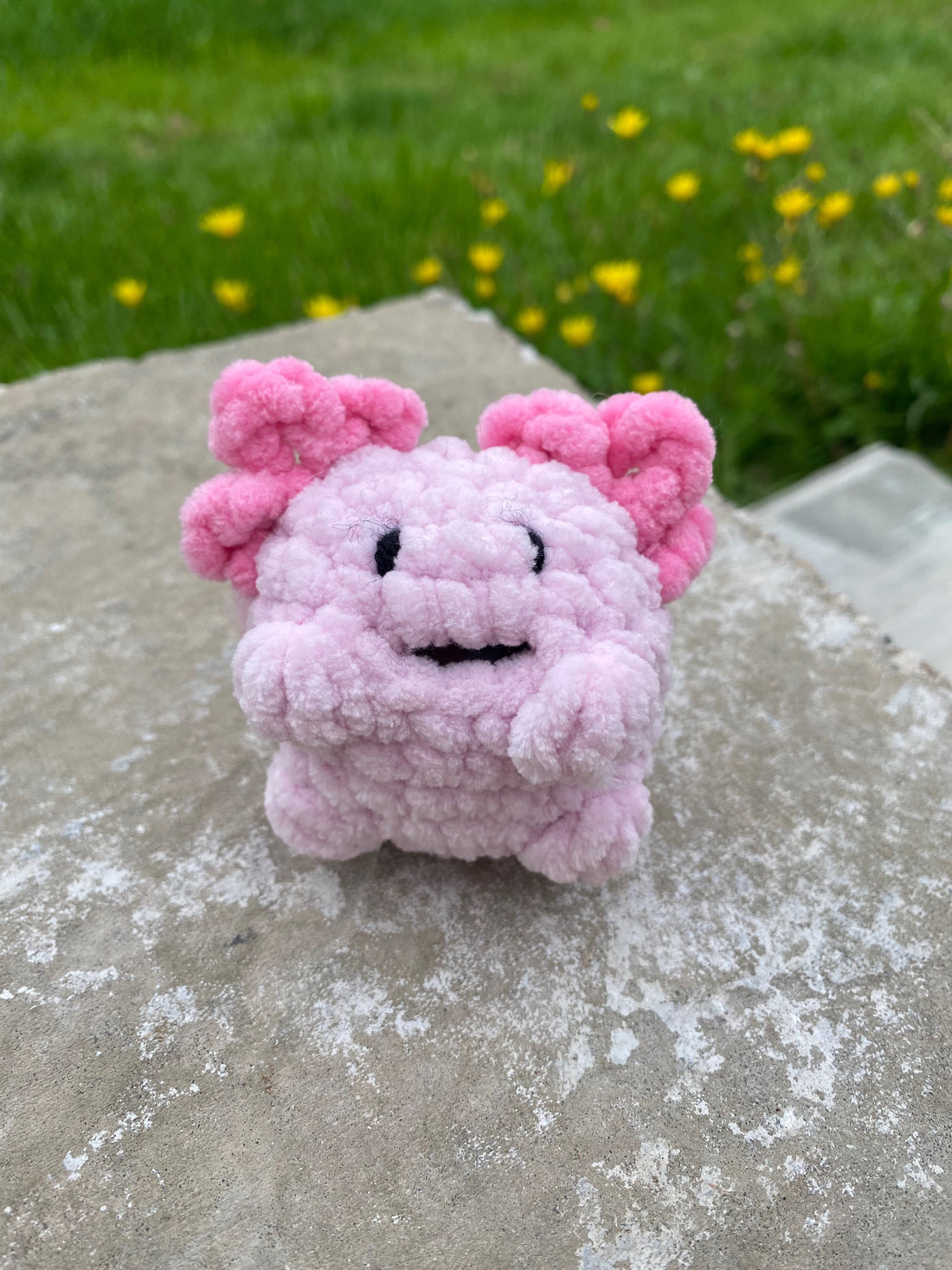 Free Axolotl Stress Ball Crochet Pattern