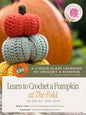 Crochet Pumpkin Workshop at The Fold, Bransford | Malvern Crochet Classes